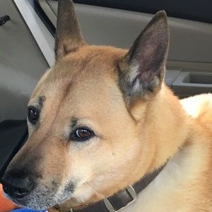 Meet your Posher, Gwen